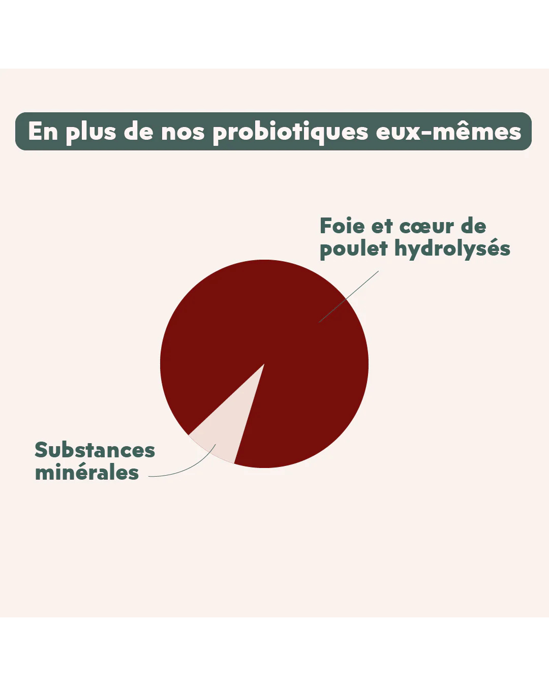 Ziggy – Probiotiques pour Chats – Flore Digestive – 30 x 1 g
