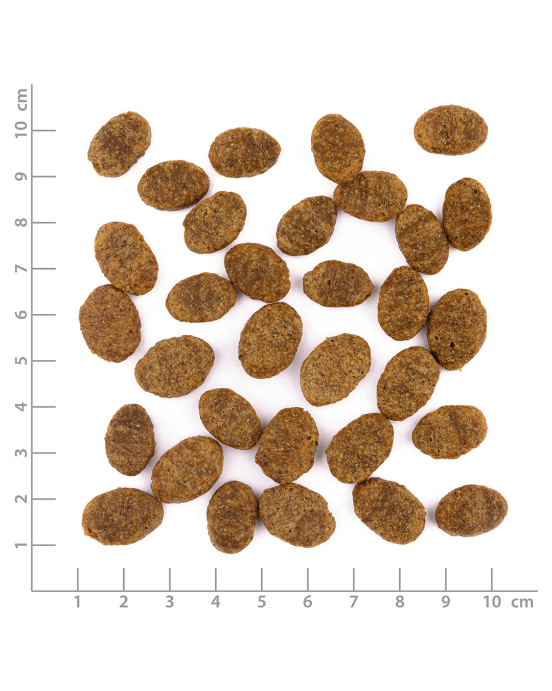 Wildes Land – Croquettes – PawPrint Bien-Être Animal Poulet & Insectes 10 kg