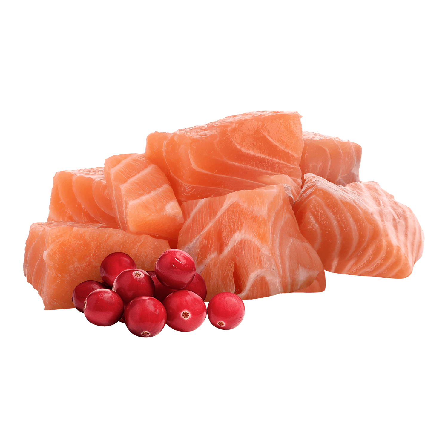  Adult Light Lachs 85g - Pawsome!®