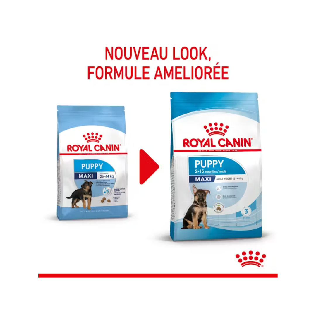 Maxi Puppy – Croquettes – Royal Canin