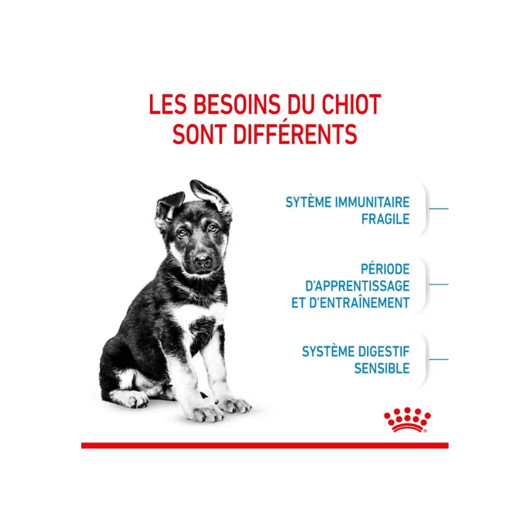 Maxi Puppy – Croquettes – Royal Canin