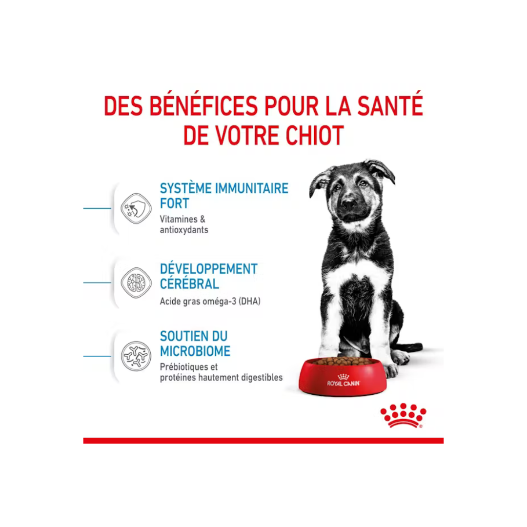 Maxi Puppy – Croquettes – Royal Canin