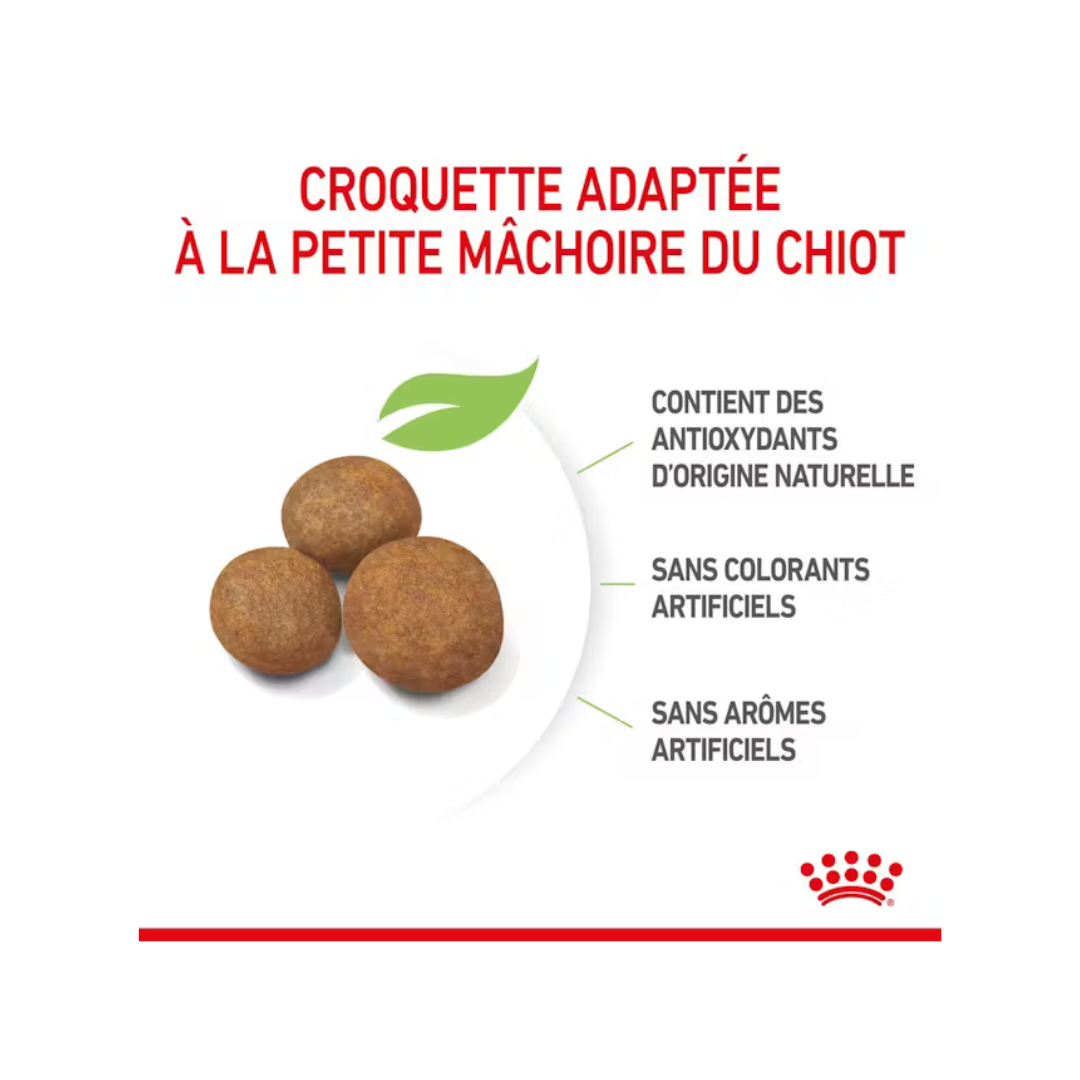 Maxi Puppy – Croquettes – Royal Canin