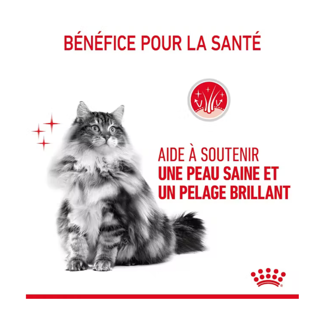Hair & Skin Care 12x85g- Aliment Humide- Royal Canin