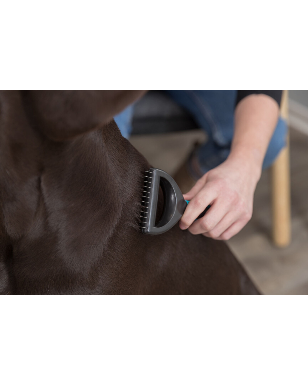 Peigne démêloir - Pour chiens - Trixie