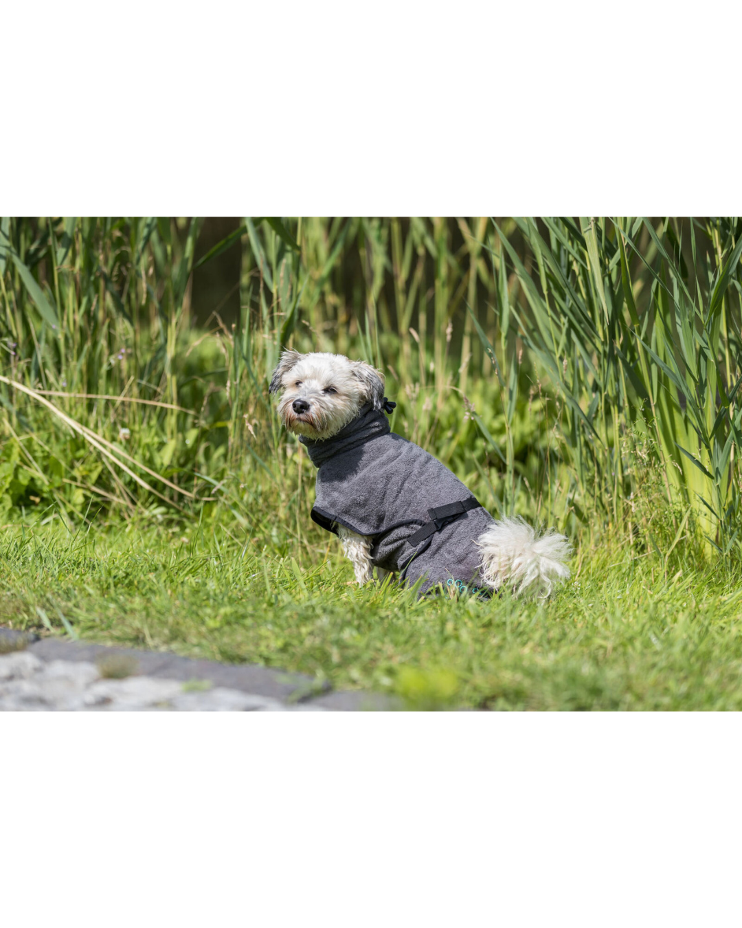 Peignoir de bain - Pour Chiens - Trixie
