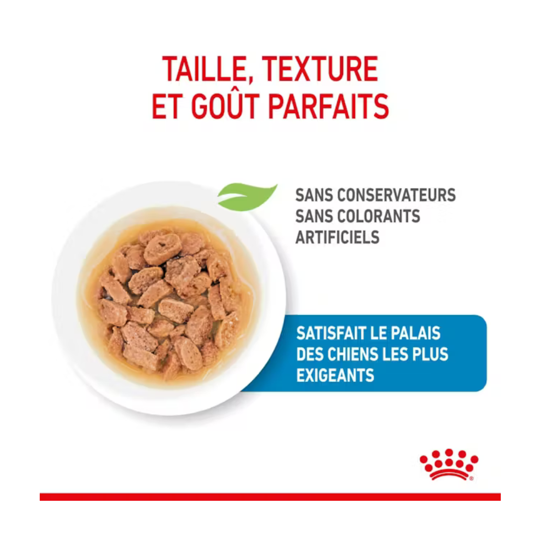 Mini Puppy Wet 12x85g- Aliment Sec- Royal Canin