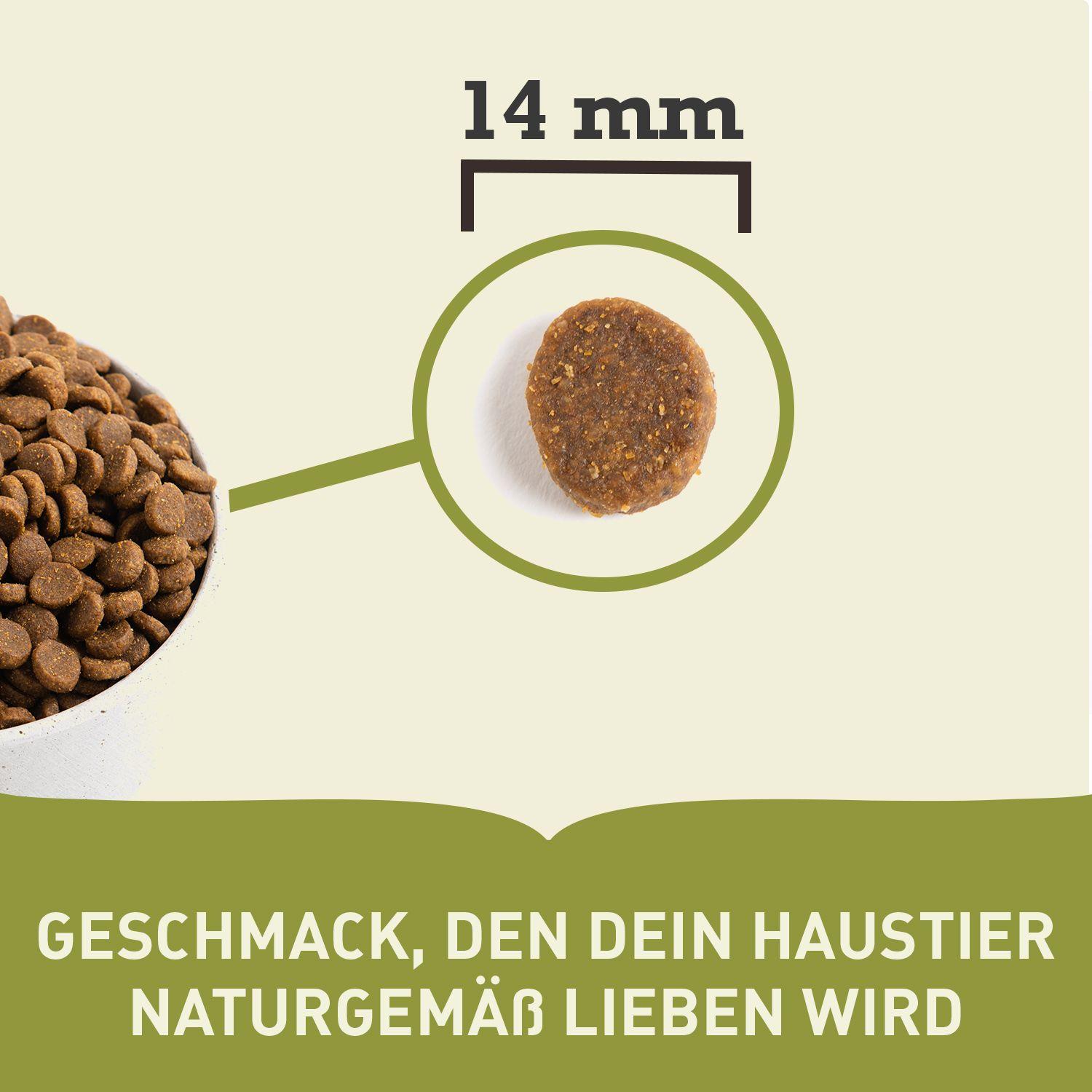 ACANA™ Adult Dog