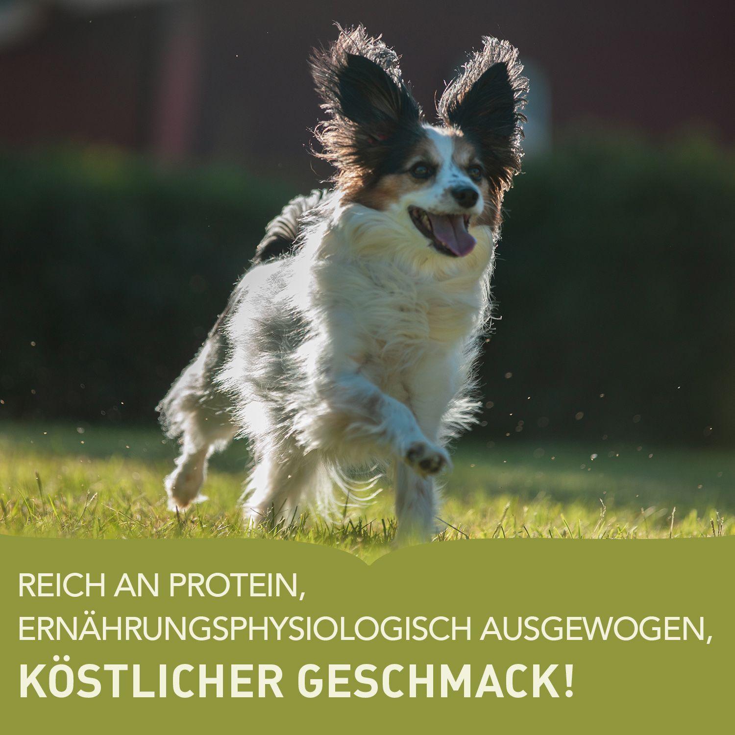 ACANA™ Adult Dog Small Breed