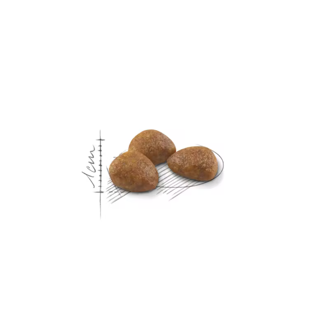 Outdoor 7+ Aliment Sec- Royal Canin 