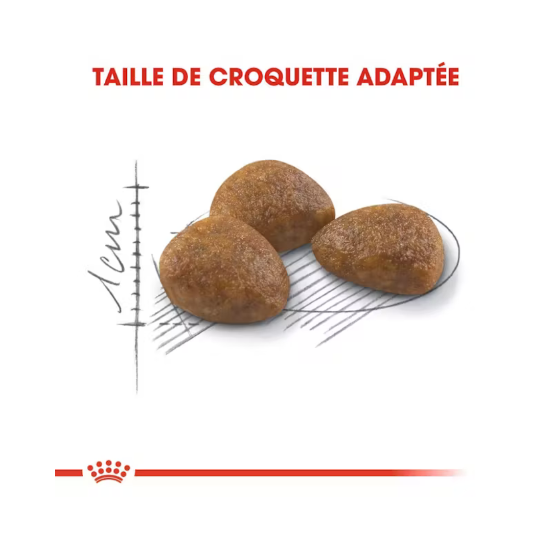 Outdoor 7+ Aliment Sec- Royal Canin 