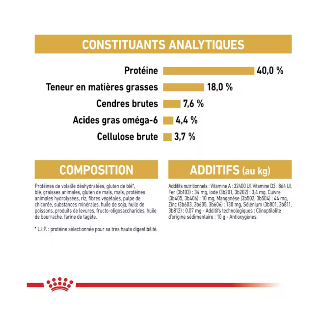 Bengal Adult- Aliment Sec- Royal Canin 