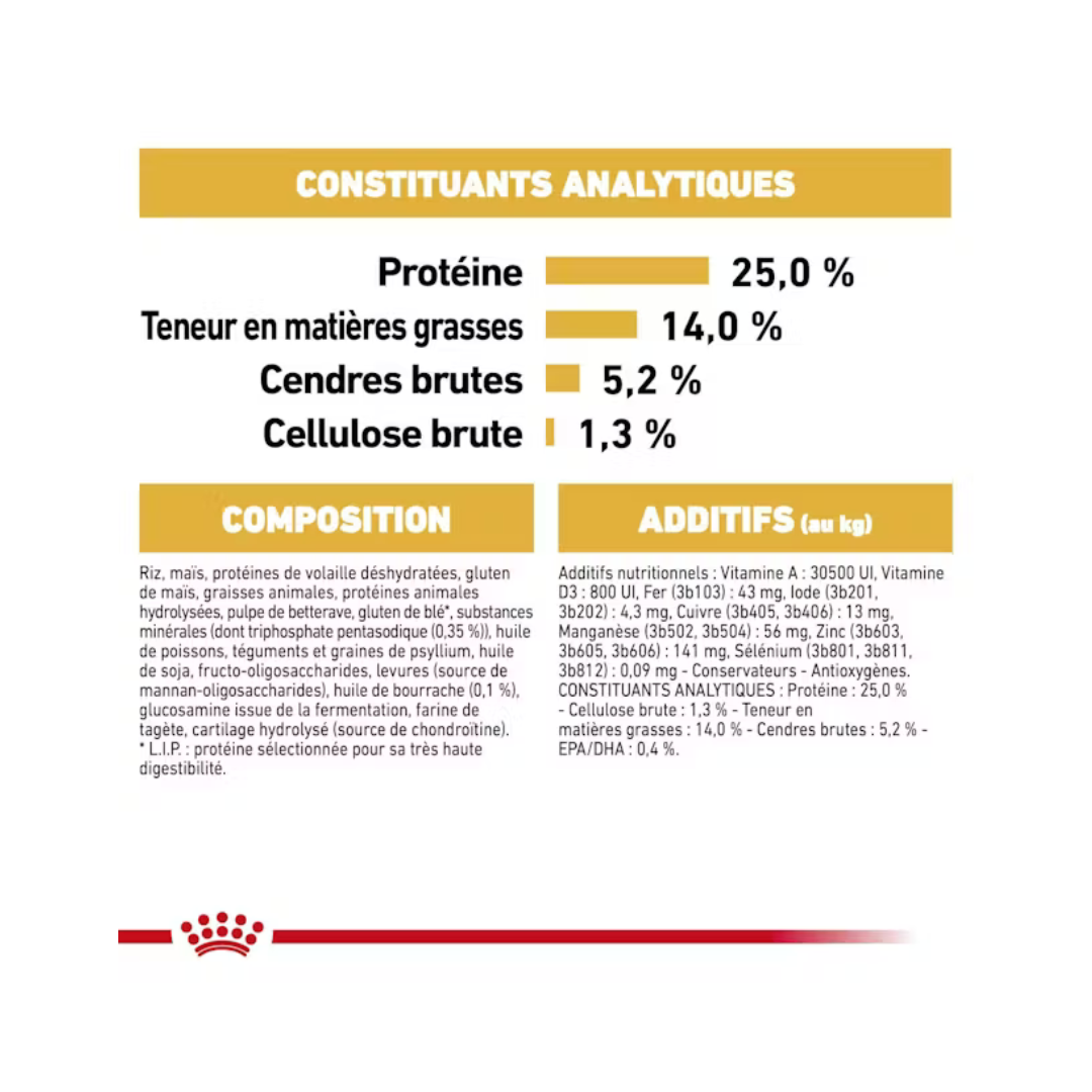 Cocker Adult- Aliment Sec- Royal Canin