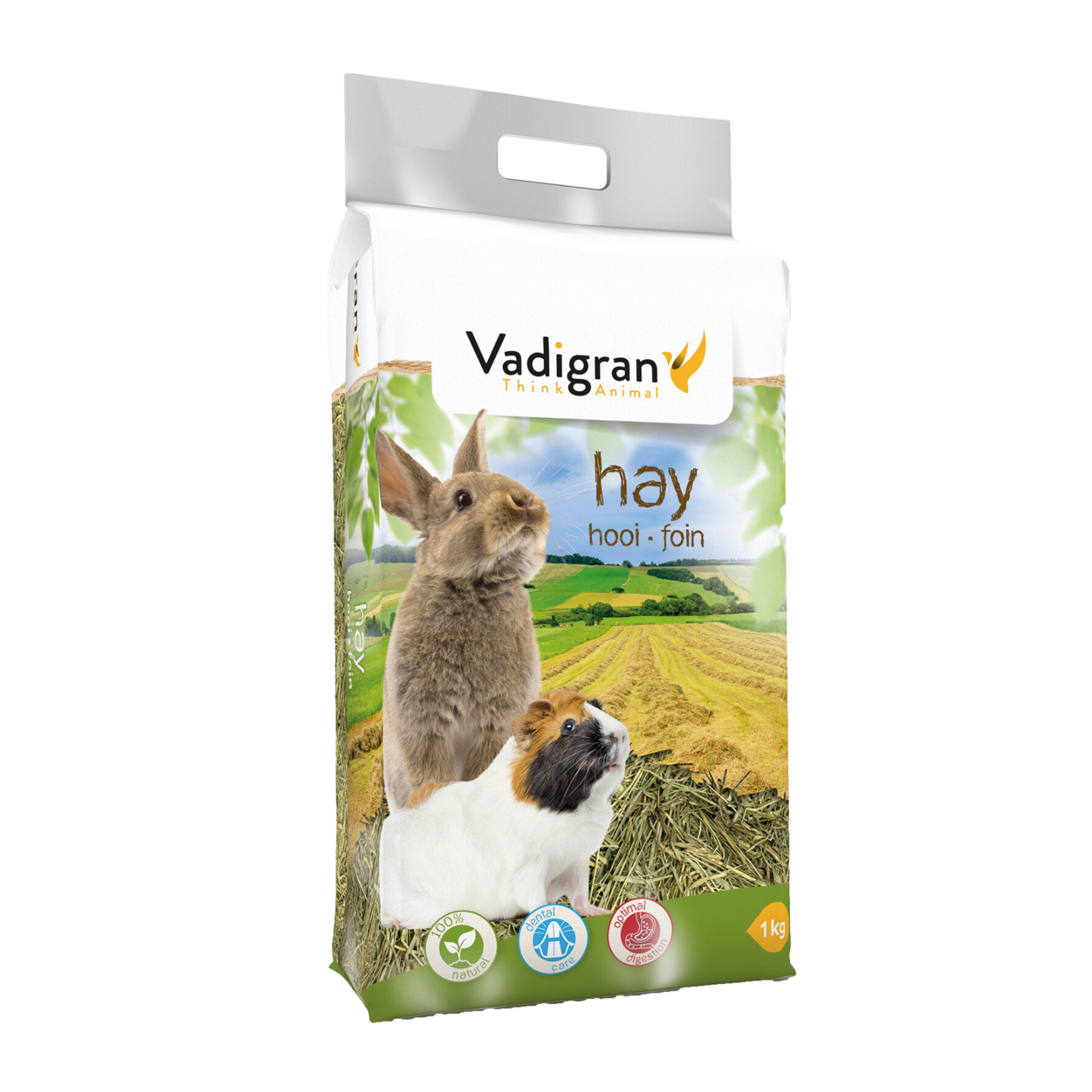 FOIN VADIGRAN – Foin Naturel 