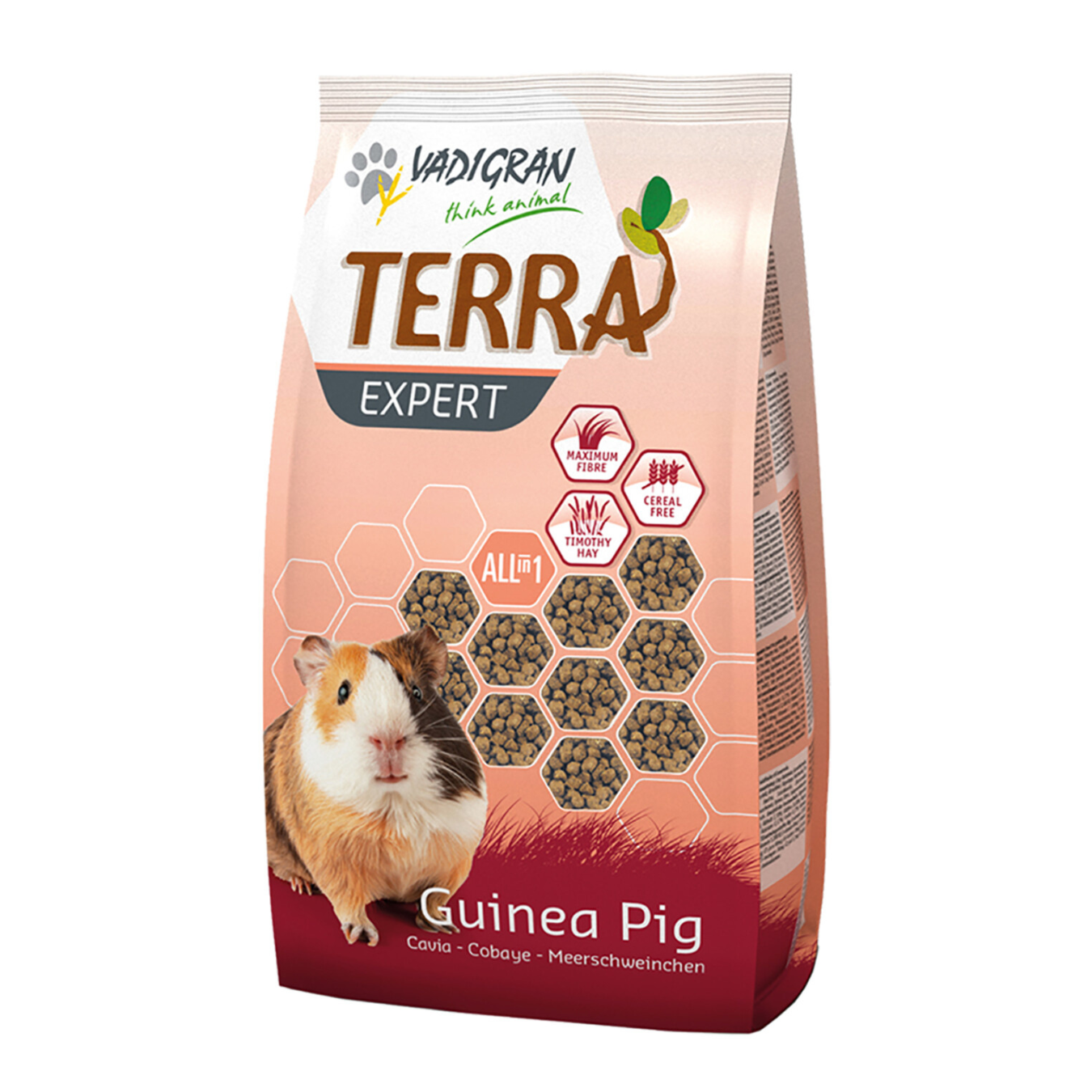 TERRA EXPERT – Fléole des Prés pour Cobayes