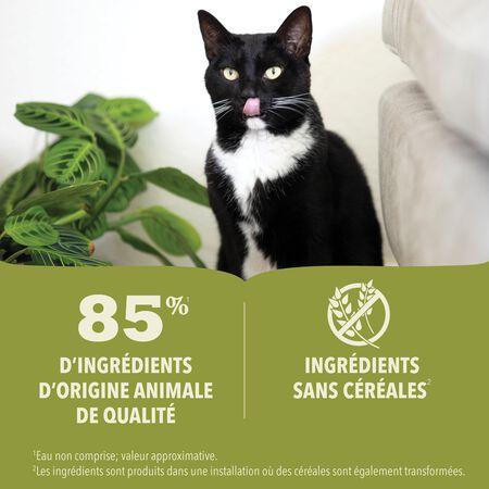 ACANA™ Pâtée Premium pour Chat – Recette au Poulet 85g