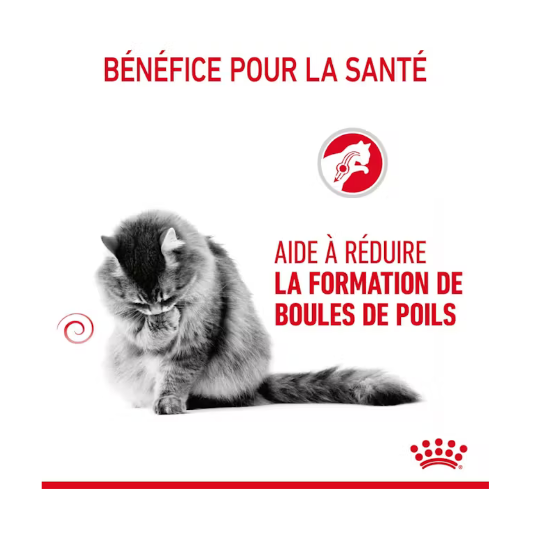 Hairball Care- Aliment Sec- Royal Canin 
