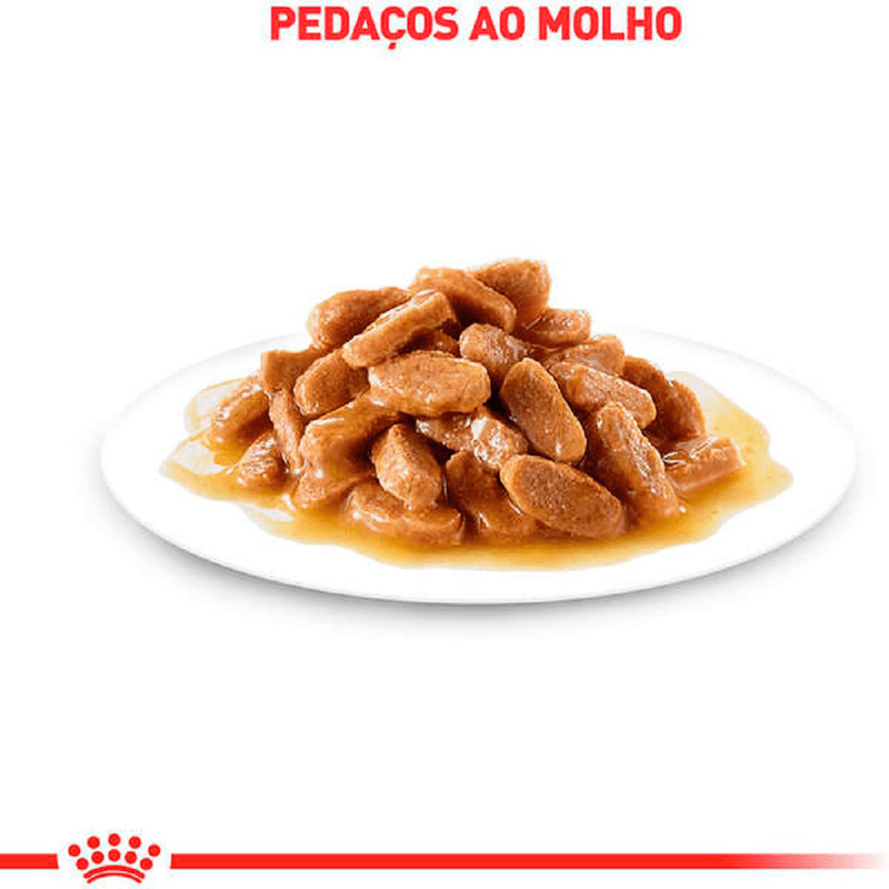 Pâtée Humide Royal Canin Hairball Care Chats Adultes 85 g