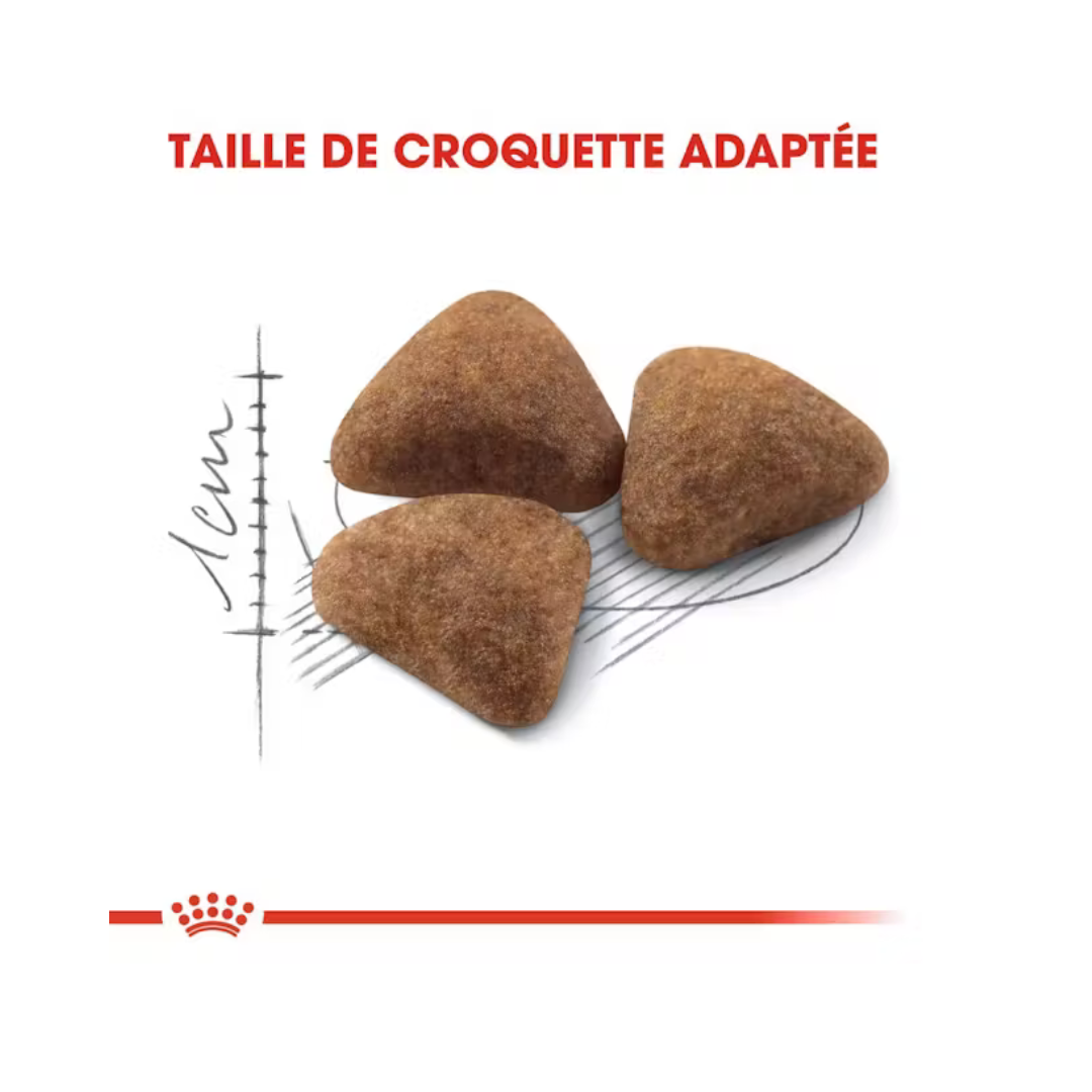 Indoor 27- Aliment Sec- Royal Canin