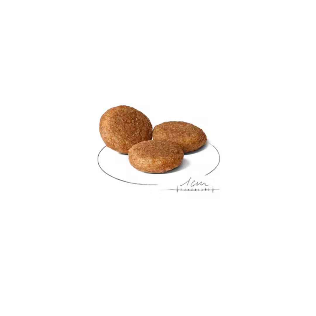 Medium Adult- Aliment Sec- Royal Canin 