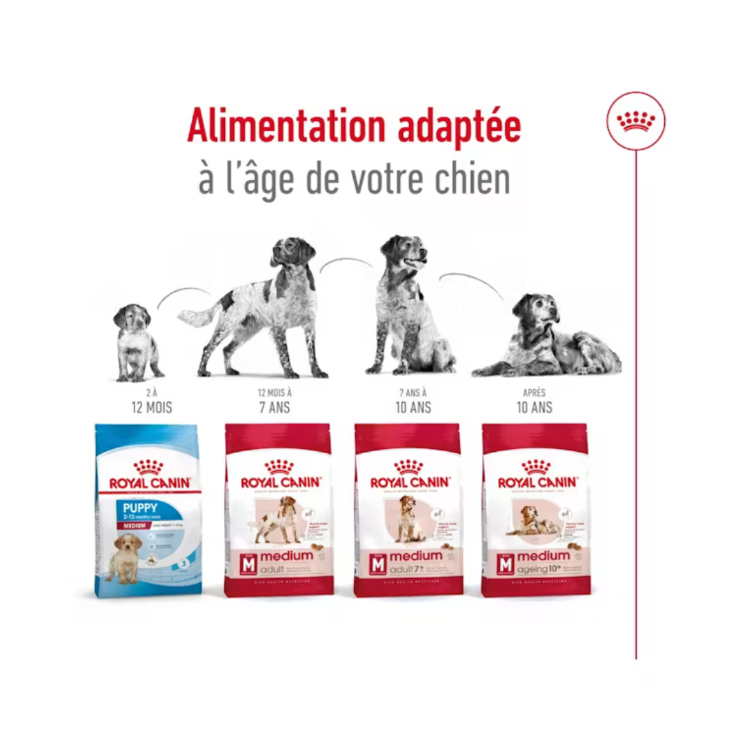 Medium Adult- Aliment Sec- Royal Canin 