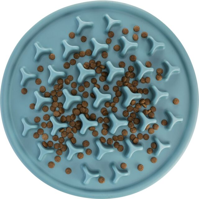 Gamelle pour chien – Slow Feeding Set de Table Pillars