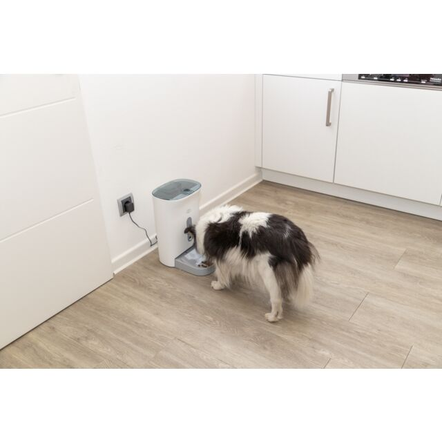 Distributeur Automatique de Nourriture TX-C Smart 4,5L Pro – Contrôle via Application avec Caméra Intégrée
