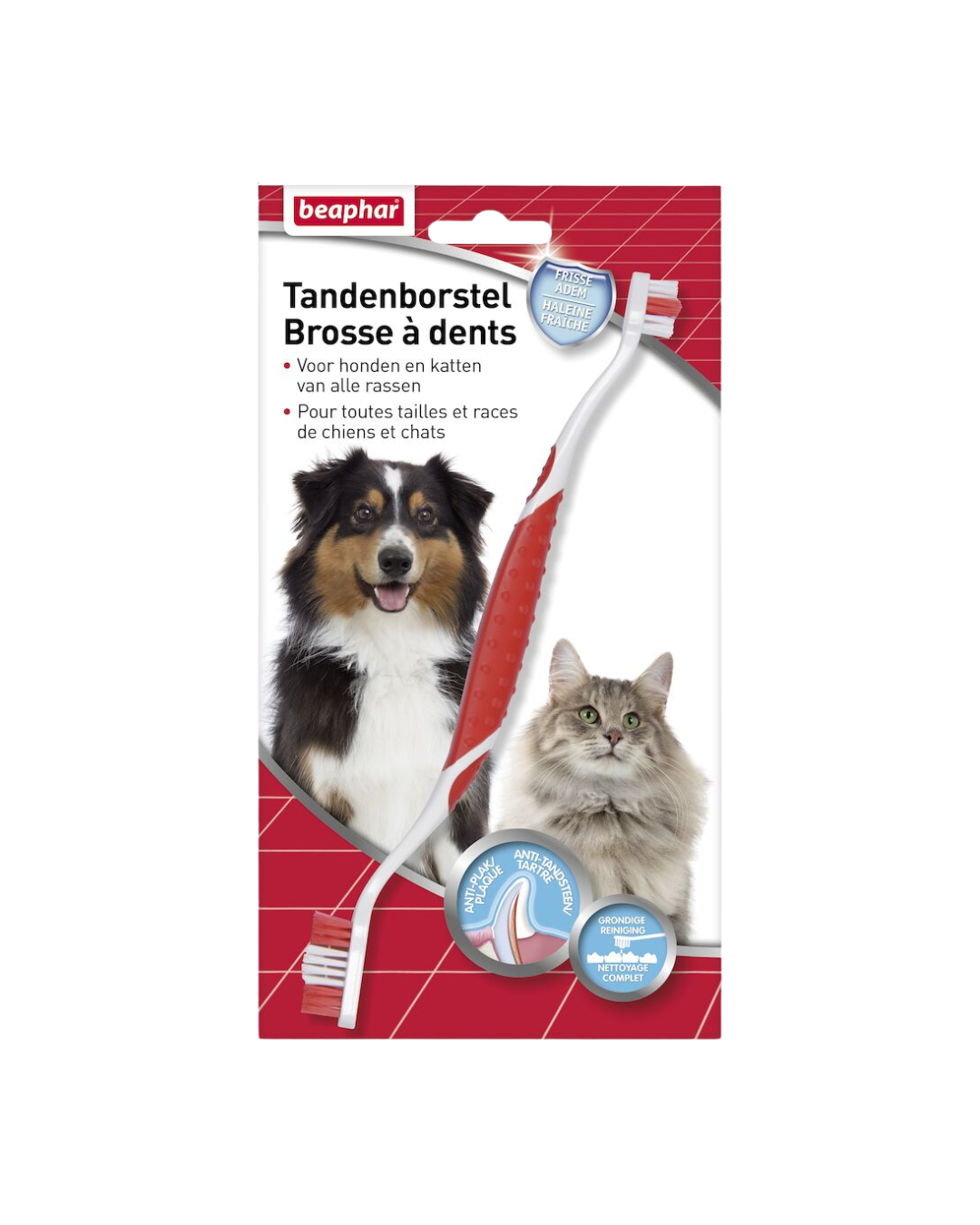 Brosse à Dents pour Chiens et Chats – Beaphar