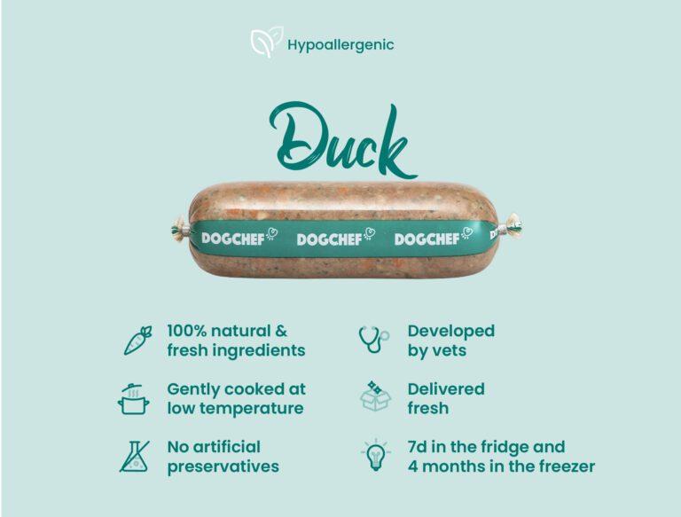 PROMO 25 unité - 20% de remise - DOGCHEF