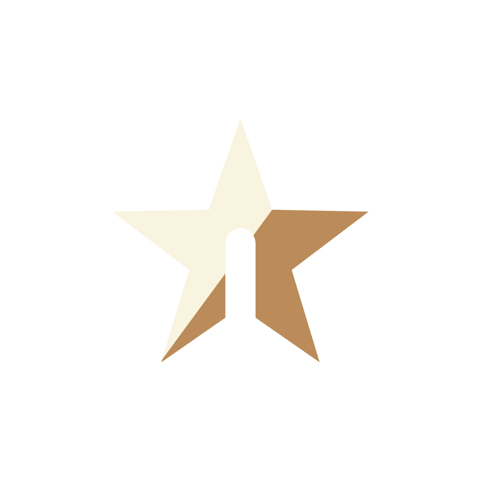 Star napkin holder