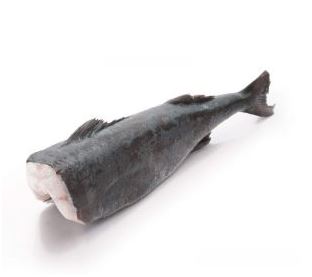 Gindara  Bacalhau 4/5lb Kg* - Bacalhau Negro Alaska - KG