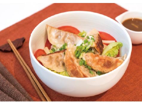 GYOZA Pato 600 gr - 30ud