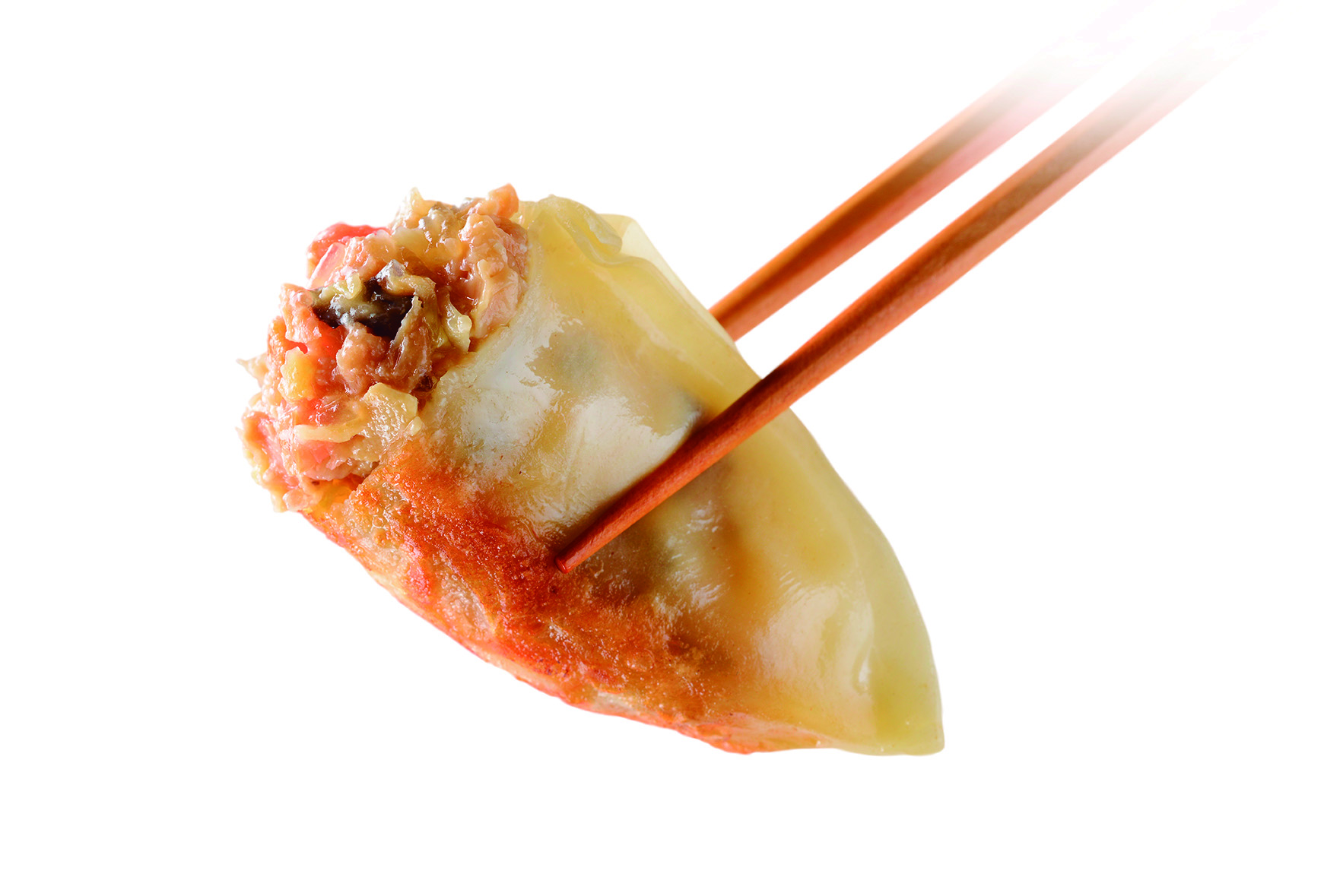 Gyozas Tofu e Verdura 600gx30uds