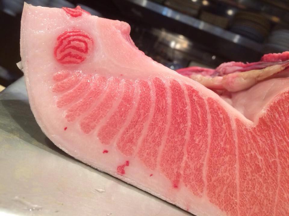 ATUM Fresco TORO (Barriga)- Kg.