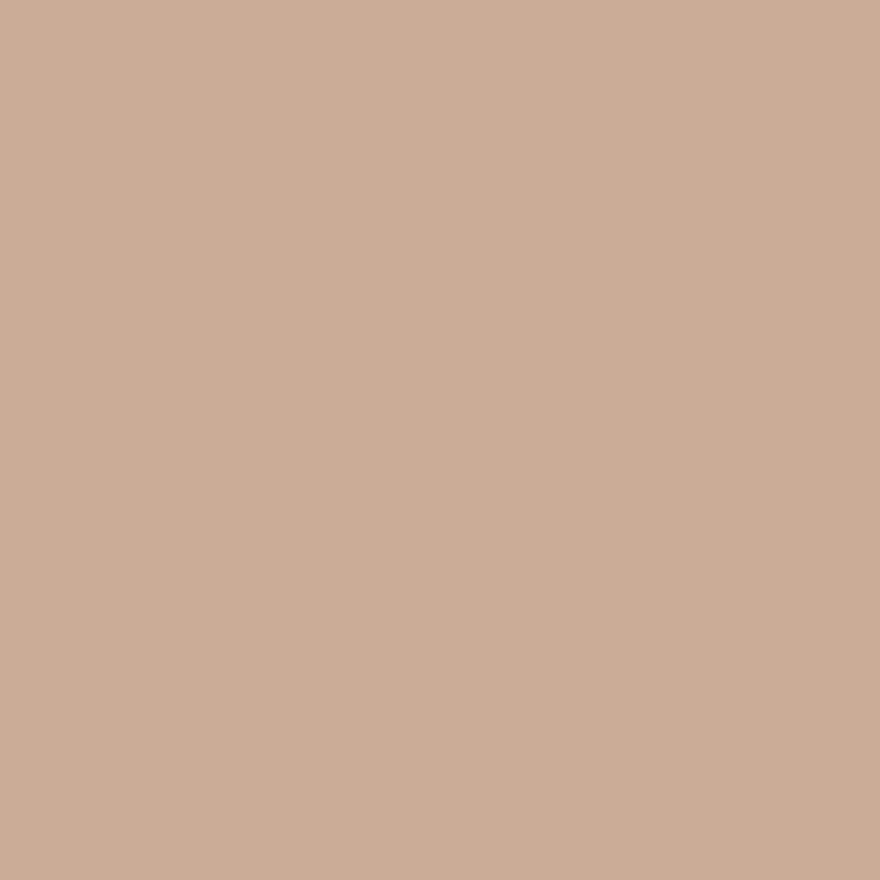 Fundo Papel Natural 2.75X11M BD-116