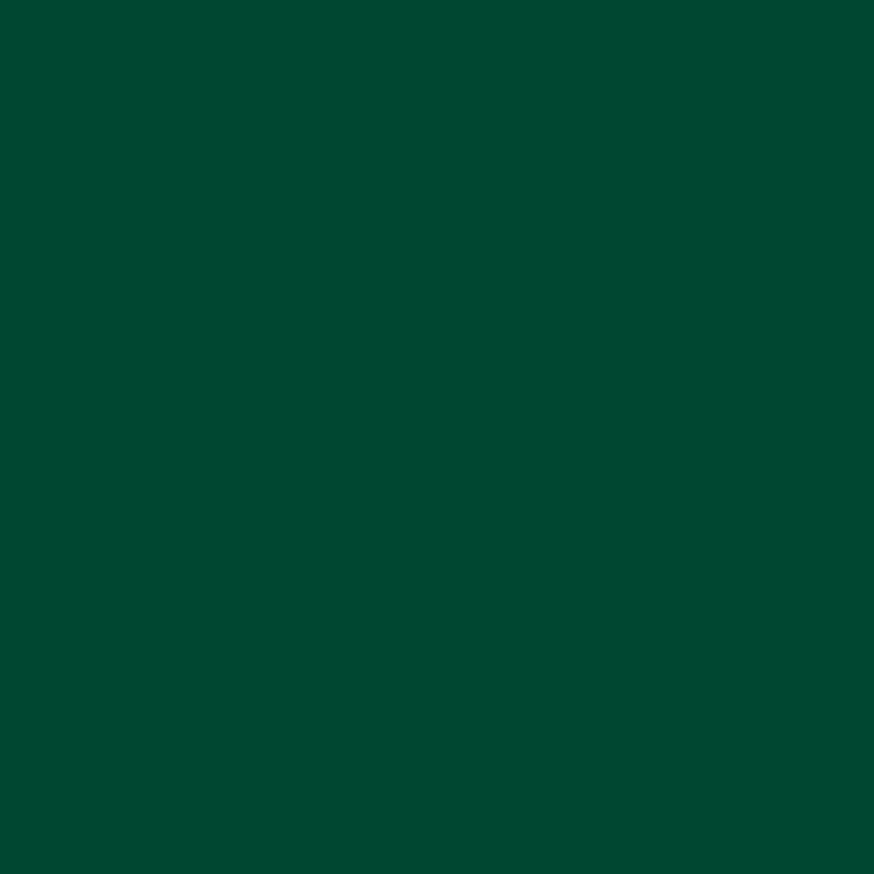 Fundo Papel Jade 2.75X11M BD-137-A-1