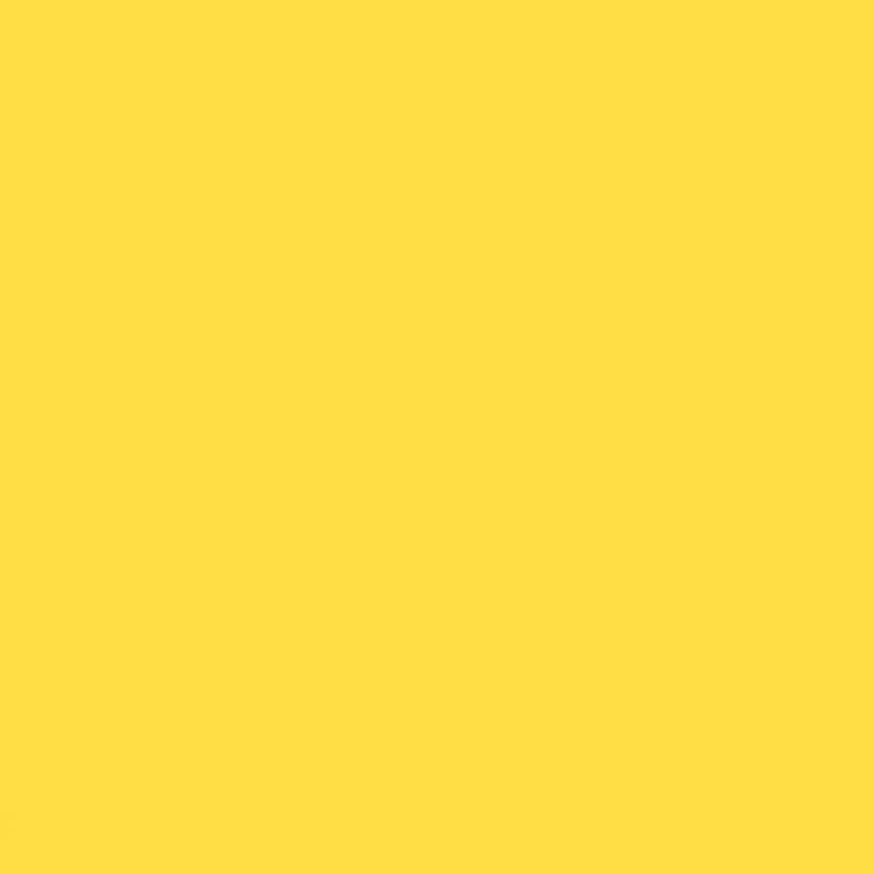 Fundo de Papel #50 Aspen - 2.72x11m 02 84,90